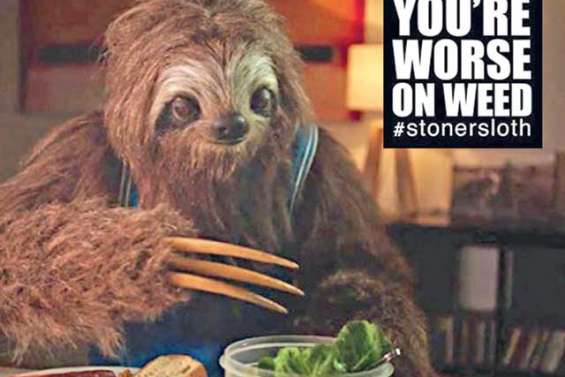 Une campagne anti-cannabis tournée en ridicule sur les réseaux sociaux
