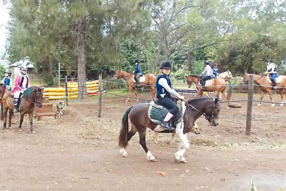 L'équitation en cadence