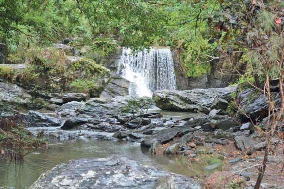 Découvertes en cascade à Ny