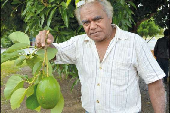 Des avocats  hors normes