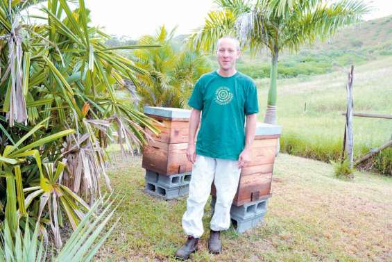 De la ruche à la bouche