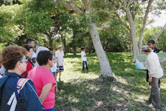 Le Sheraton se dévoile
