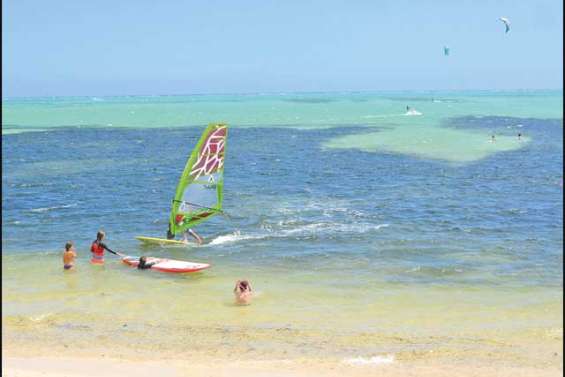 Un herbier à préserver