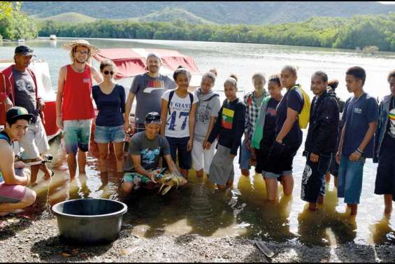 Pikachu, tortue miraculée