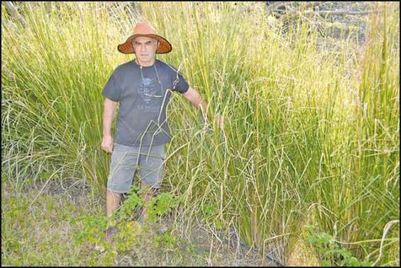 Du grand bleu au vétiver