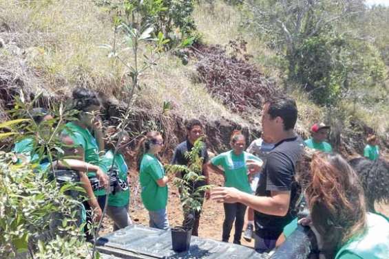 Quand les lycéens se mobilisent pour l'environnement