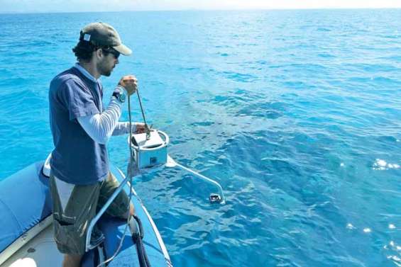 Dans l'œil sous-marin du Squale