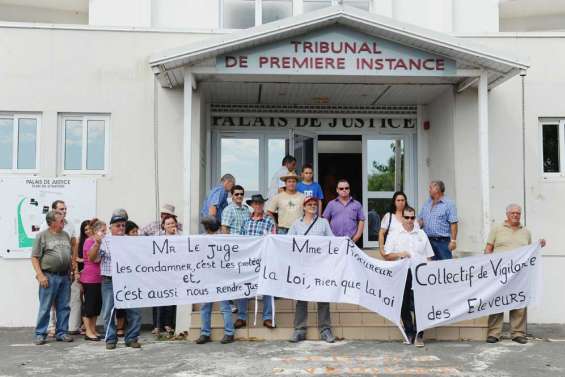 Viandards : un an de prison pour le tireur 