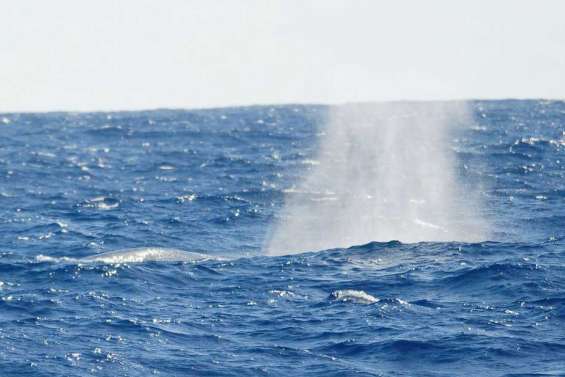 « C'est exceptionnel ?!?»