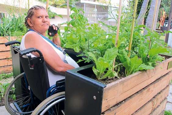Potager à hauteur de main