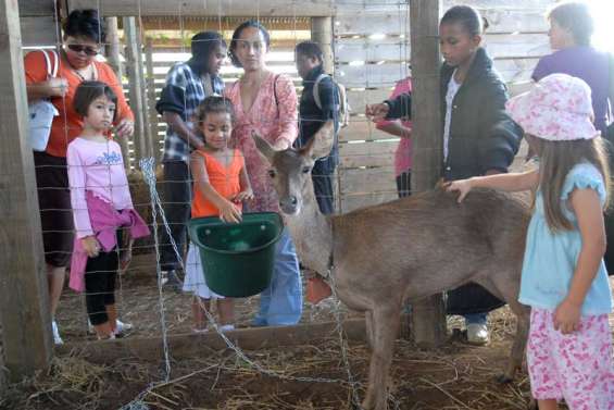 C'est reparti pour deux jours de festivités