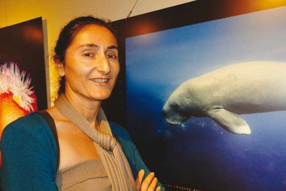 « Il reste moins de mille dugongs »