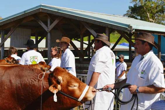 Le jour des éleveurs