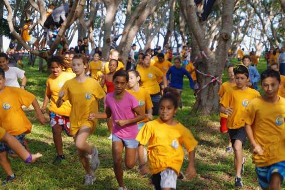 Retrouvons-nous dans les bois !