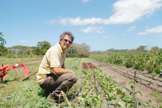 Tout nouveau tout bio