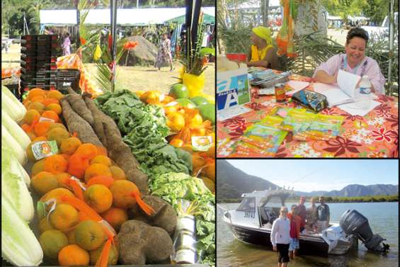 Un rythme de croisière