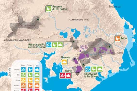 Un Œil sur le Grand Sud (1/3) : les forêts sous surveillance
