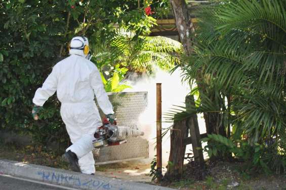 Etat des lieux du chikungunya en Nouvelle-Calédonie [vidéo]