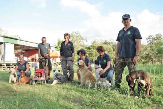 Les chiens font leur rentrée au Club canin de Dumbéa