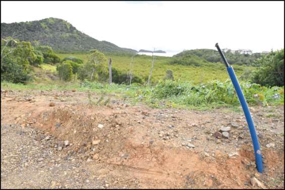 Menace sur la mangrove ?