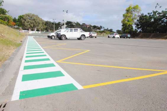 Zébras jaunes  au skate-park