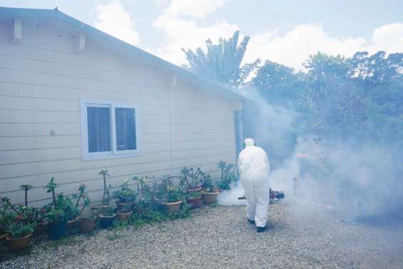 Le Zika n'effraie pas