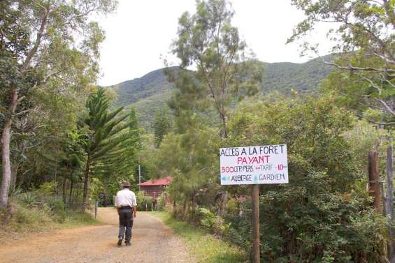 500 francs pour les Koghis