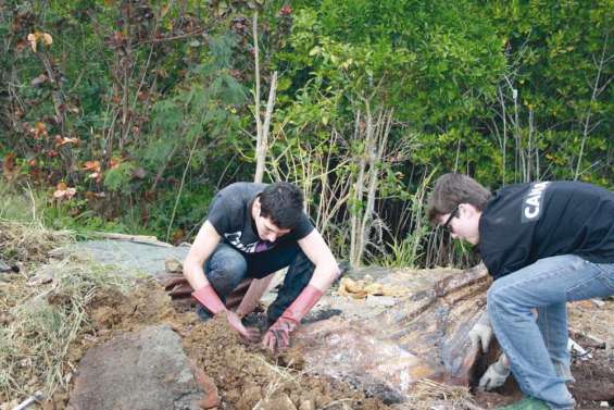 Des déchets dans la mangrove