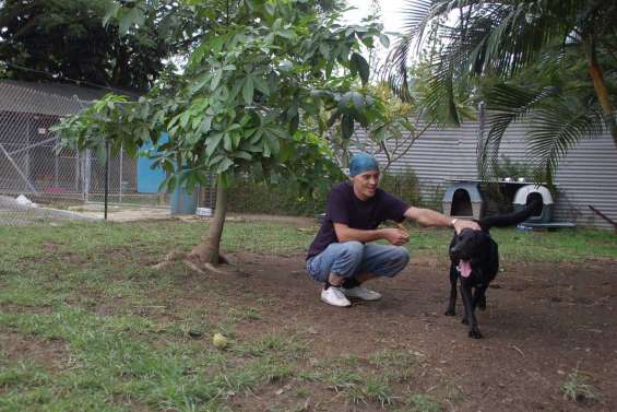 Les amis des animaux devraient quitter Koutio