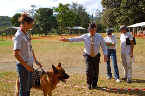 Les bergers allemands passent devant le juge
