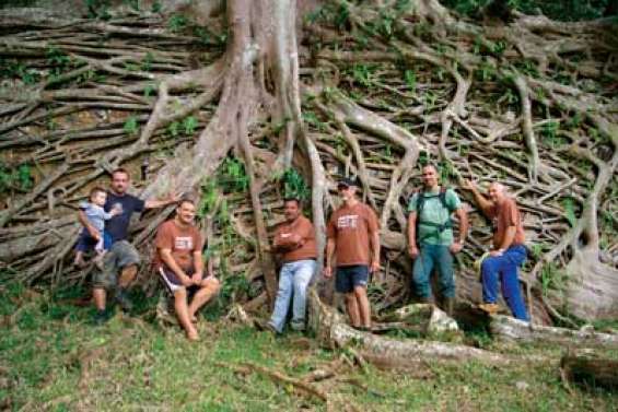 Des racines et des hommes