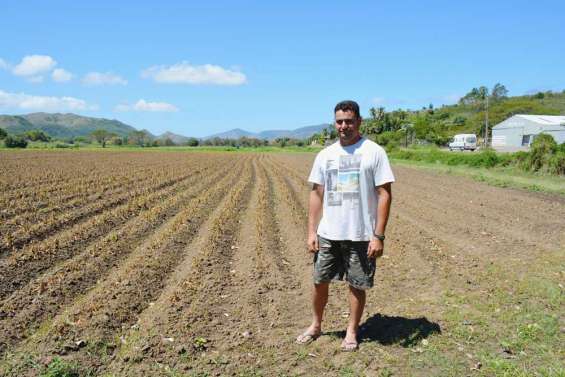 Menace sur la récolte