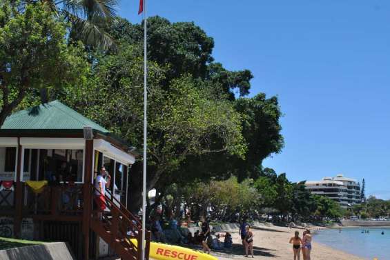 Alerte au requin à la BD