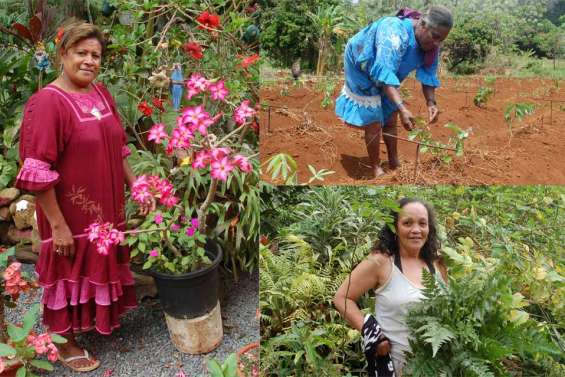 Dans les pas de Rosaire, Yekou et Léna