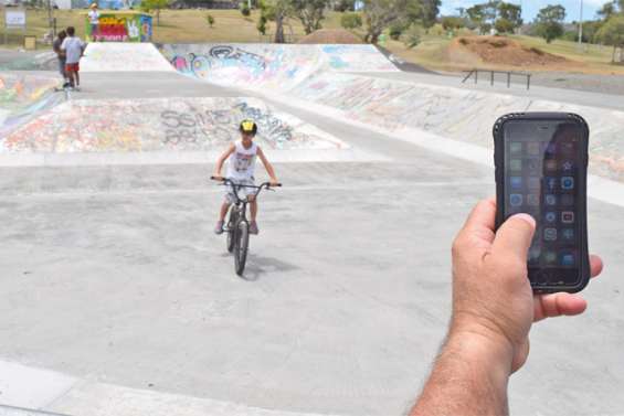 Bientôt un palmier connecté