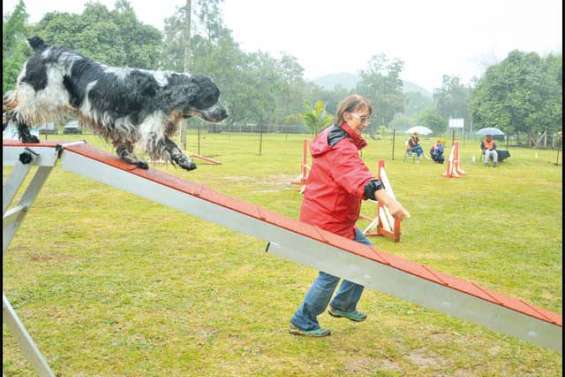 Un temps de chiens !