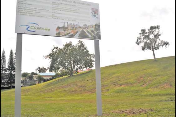 Indésirable Fontainea