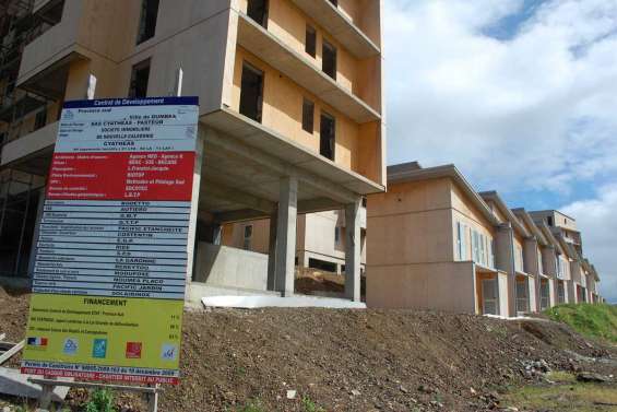 Une note d'écologie à Dumbéa-sur-Mer