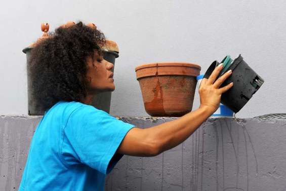 Plus de 8 000 cas de dengue recensés