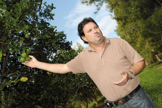 De nouveaux fruits demain en Calédonie ?