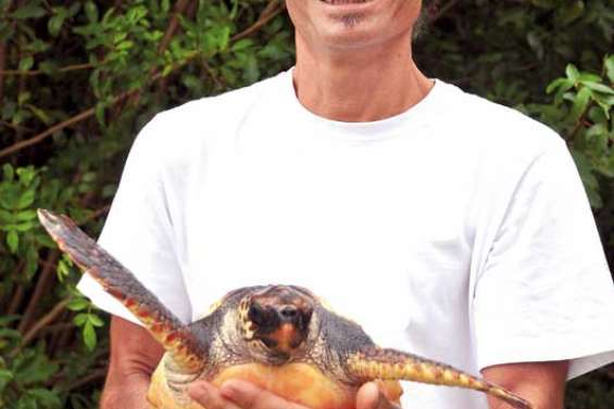 Dominique Lafage : au chevet des tortues