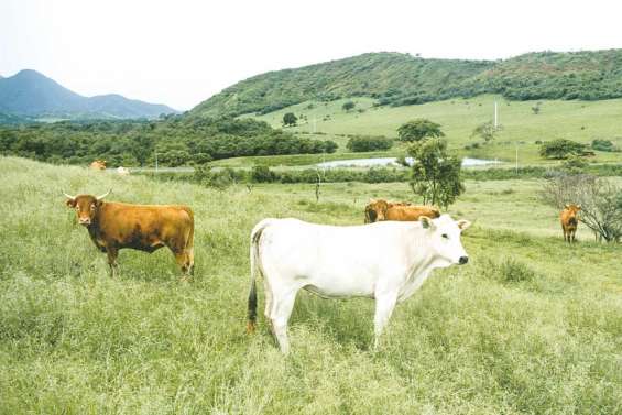 Hormones, deuxième round