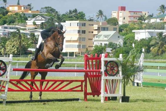Haute volée en nocturne 