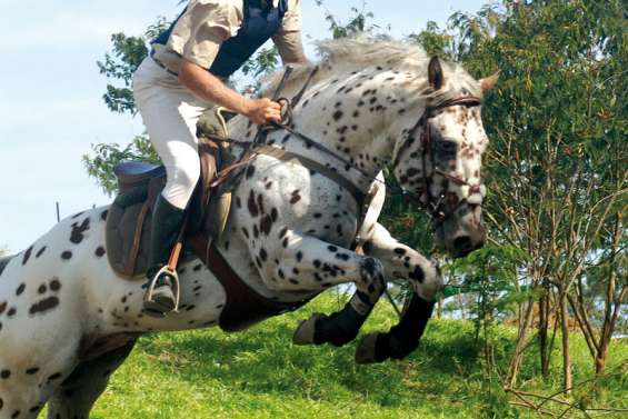 Gilles Malaisse fait son show