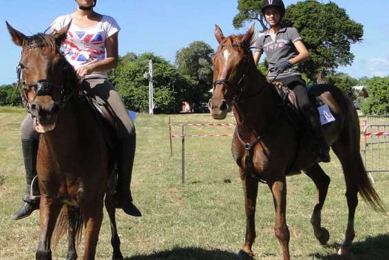Le cheval était roi à Déva