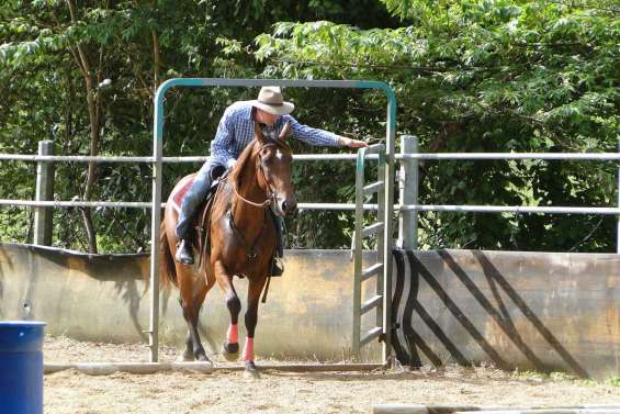 En symbiose à Bourail
