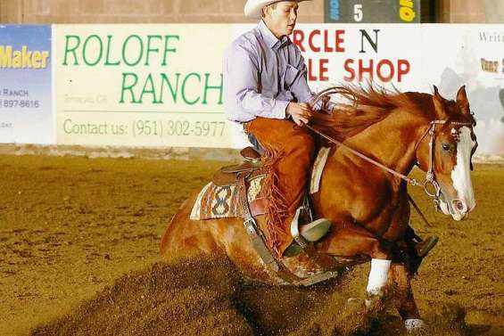 Étoile montante du cow horse