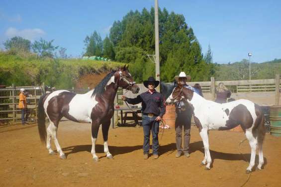 En démonstration à Dumbéa