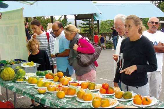 L'agrume en fête