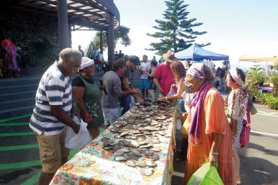 A la découverte des pintadines